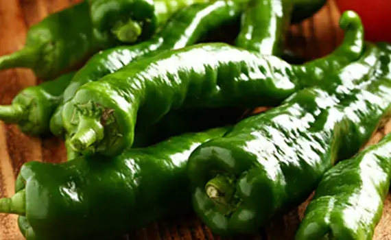 万願寺唐辛子あぶりの画像